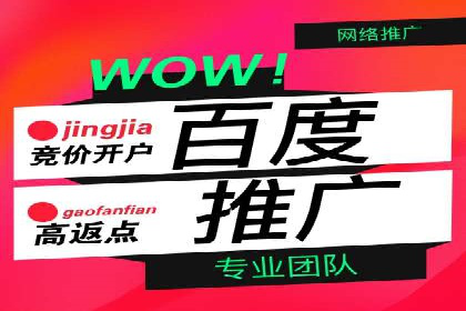 百度竞价包年案例：揭秘高效广告投放秘诀